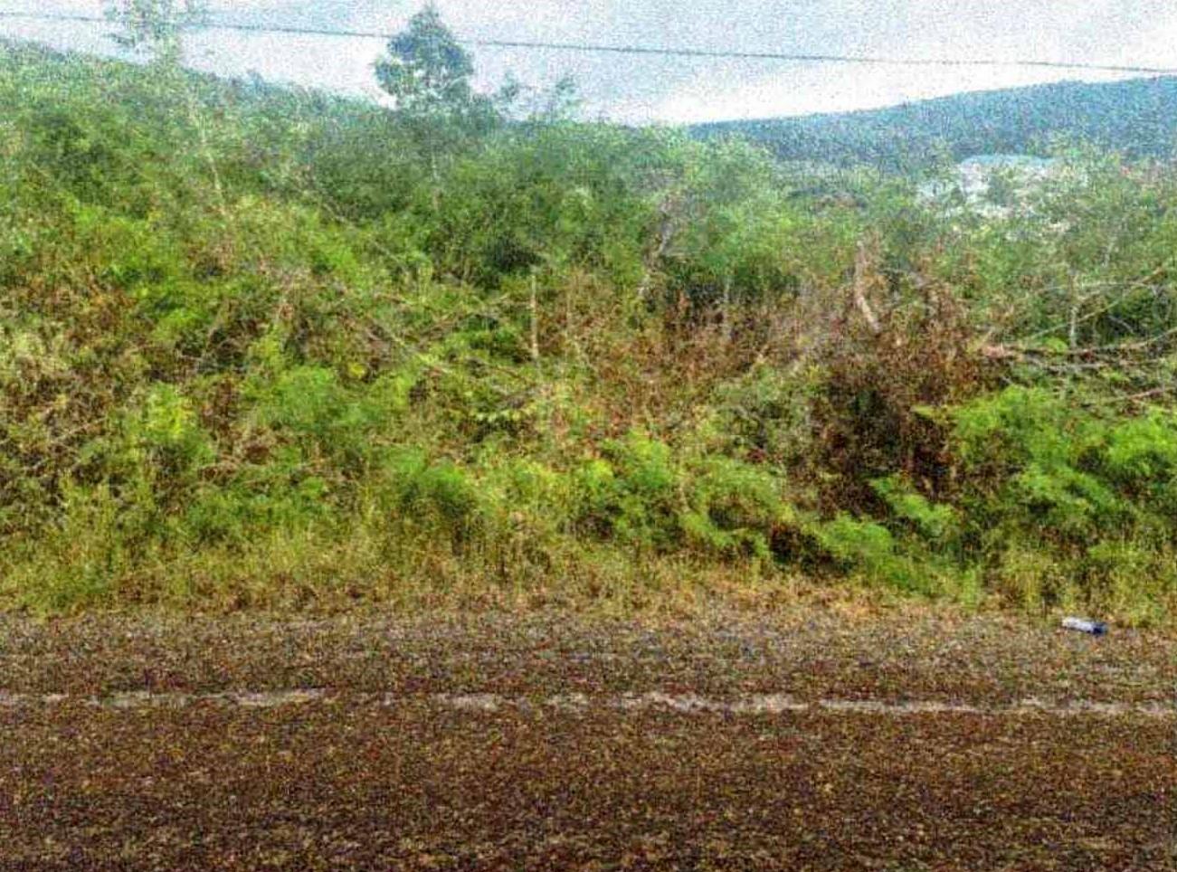Third image of Lot-38 Emporium, Downs in Downs, Manchester, Jamaica - property is For Sale