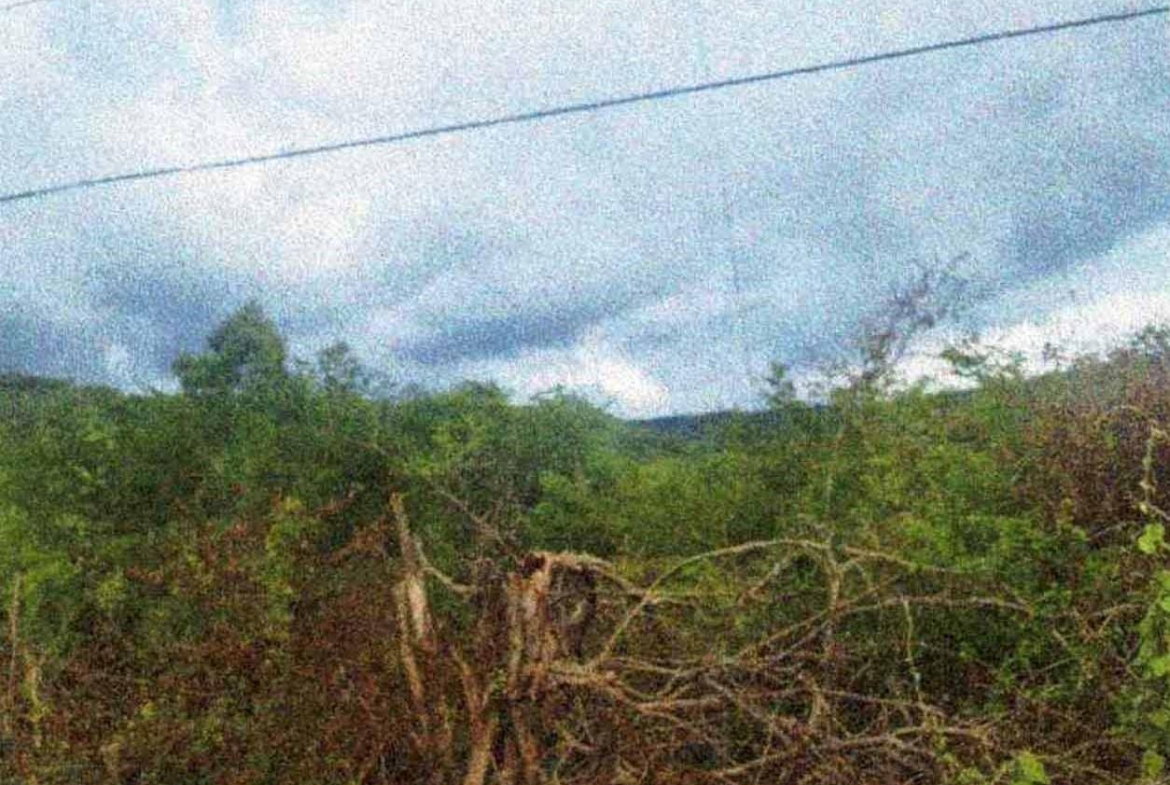 Fourth image of Lot-38 Emporium, Downs in Downs, Manchester, Jamaica - property is For Sale