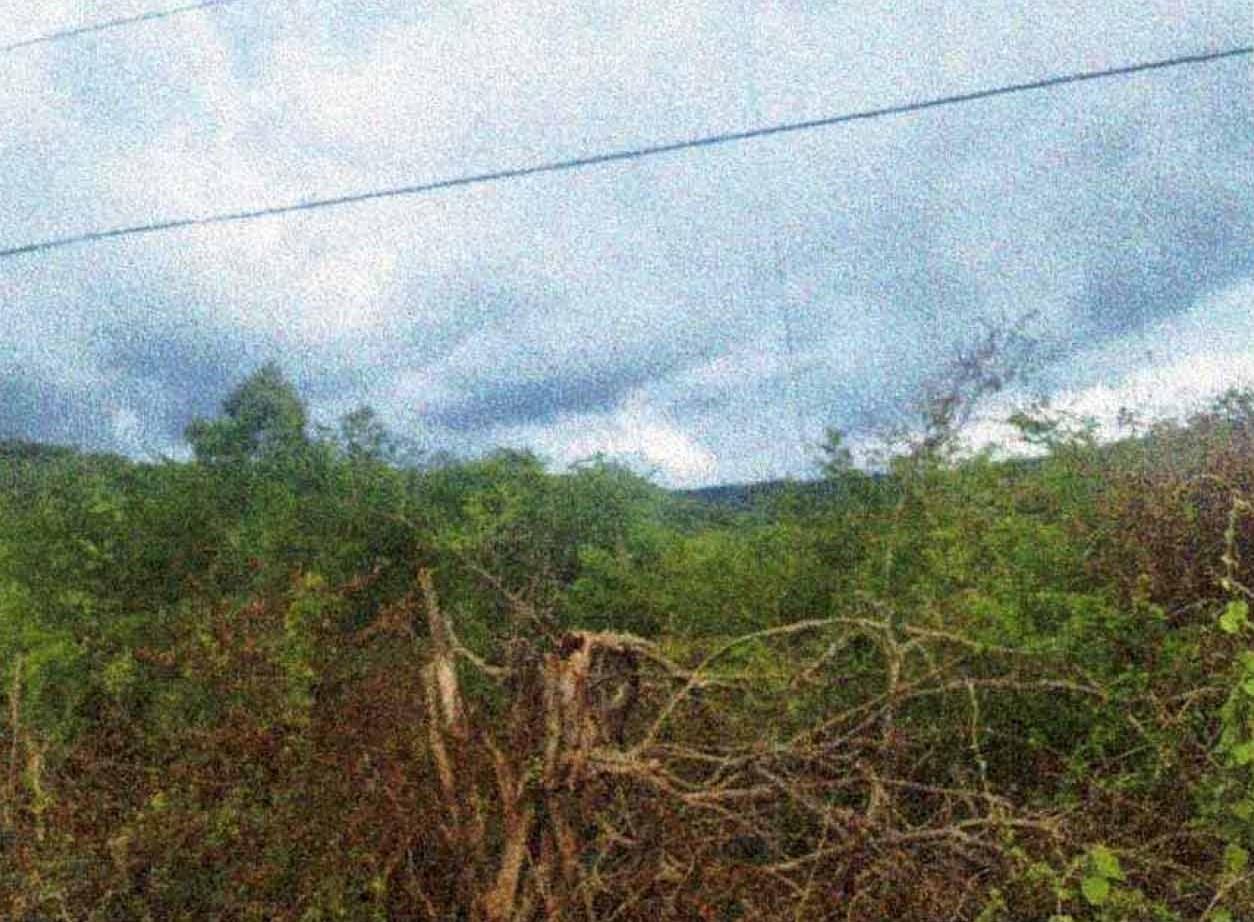 Fourth image of Lot-38 Emporium, Downs in Downs, Manchester, Jamaica - property is For Sale
