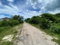 First image of 84 Fullerswood in Black River, St. Elizabeth, Jamaica - property is For Sale