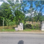 First image of Chester Castle in Chester Castle, Hanover, Jamaica - property is For Sale