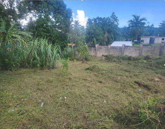 Third image of Chester Castle in Chester Castle, Hanover, Jamaica - property is For Sale