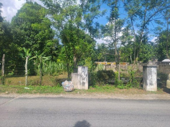 First image of Chester Castle in Chester Castle, Hanover, Jamaica - property is For Sale