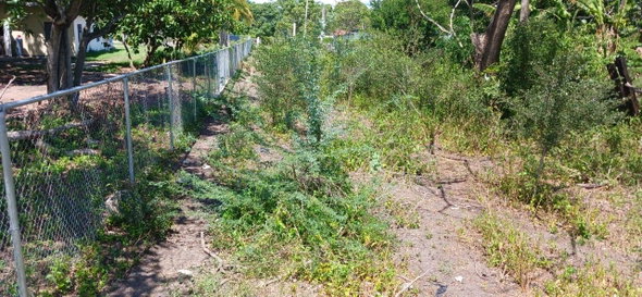 Second image of 90 Content Road in Denbigh, Clarendon, Jamaica - property is For Sale