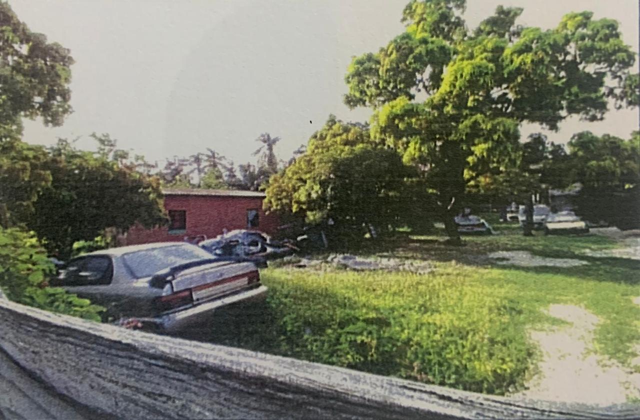 Vacant-Residential-Lot-for-Sale-in-Corn-Piece-District-Clarendon-Jamaica Second image of Corn Piece District in Hayes Cornpiece, Clarendon, Jamaica - property is For Sale