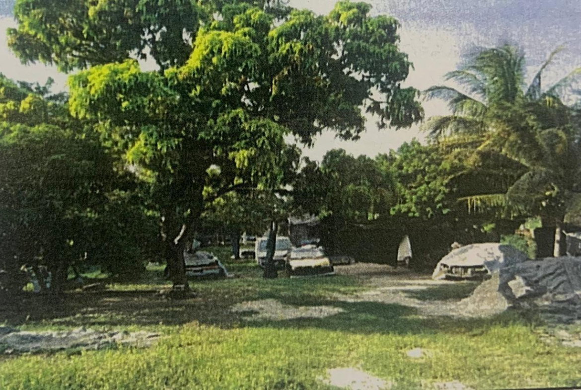 Third image of Corn Piece District in Hayes Cornpiece, Clarendon, Jamaica - property is For Sale