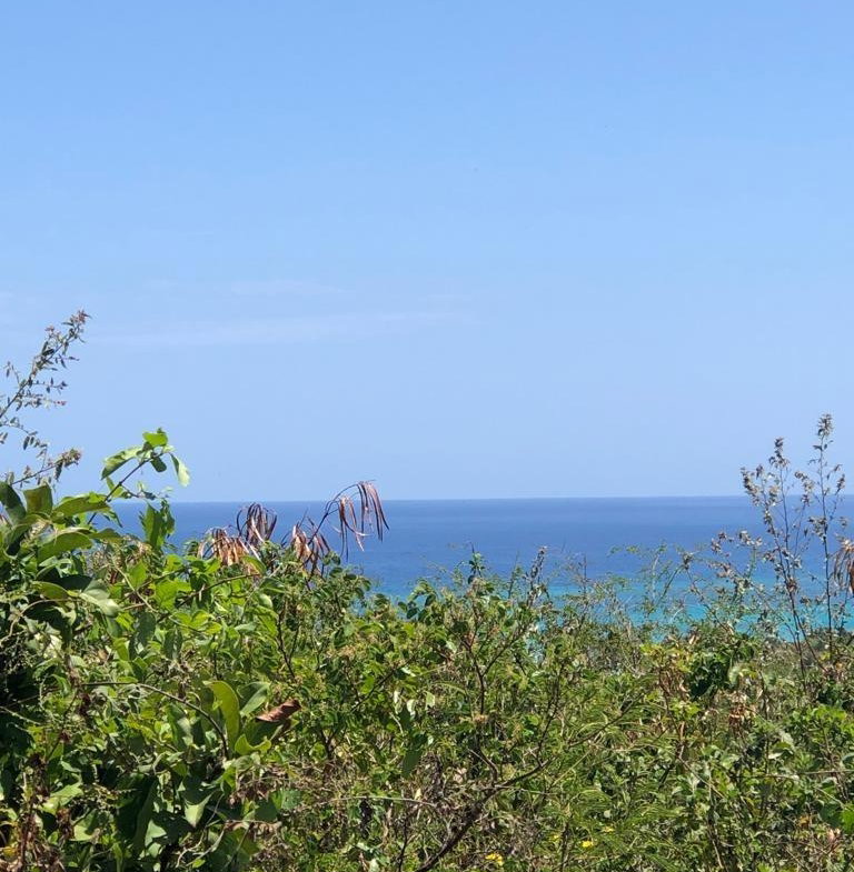 Fifth image of Lot 342 Ridge Way in DUNCAN BAY, Trelawny, Jamaica - property is For Sale