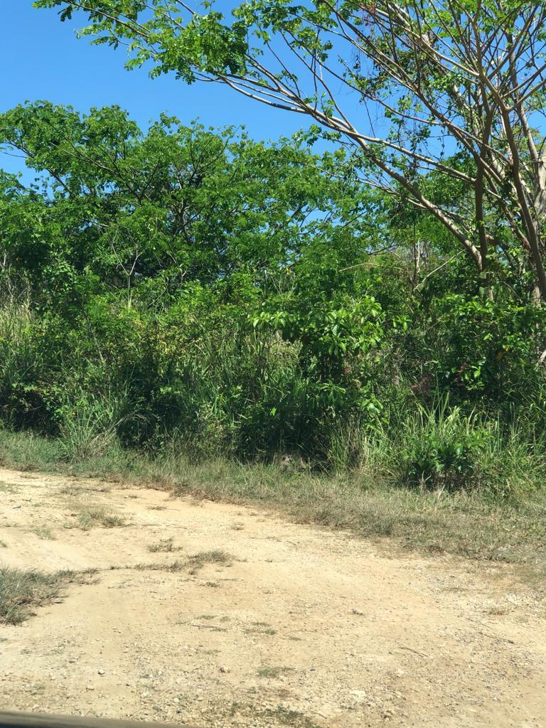 Fifth image of Lot 444 Marlin Way in Duncans, Trelawny, Jamaica - property is For Sale