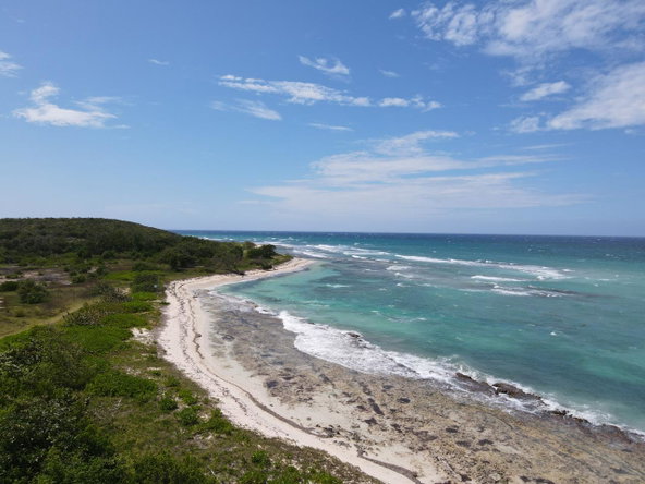 Third image of Lot 179 The Dolphin in Duncans, Trelawny, Jamaica - property is For Sale