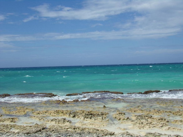 First image of Lot 184 The Dolphin in Duncans, Trelawny, Jamaica - property is For Sale
