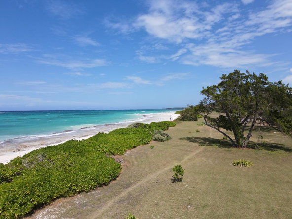 Third image of Lot 202 Duncan Avenue in Duncans, Trelawny, Jamaica - property is For Sale