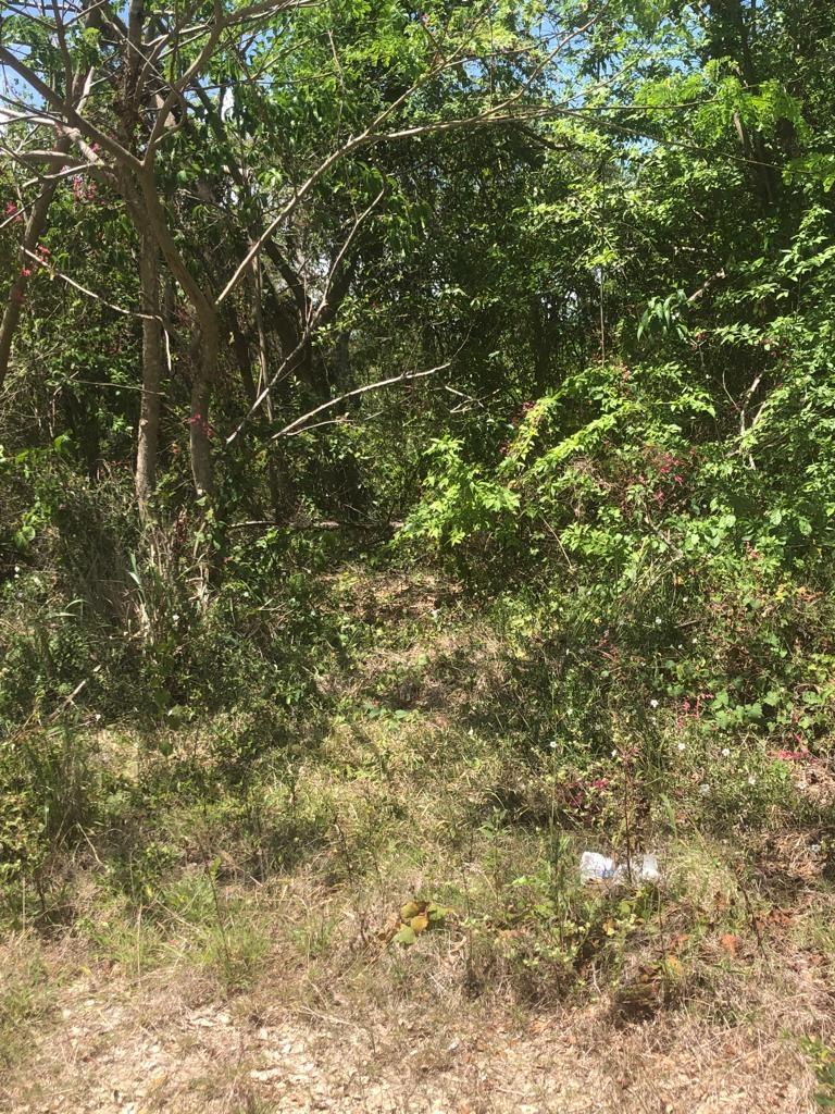 Fifth image of 391 Trelawny Drive in DUNCAN BAY, Trelawny, Jamaica - property is For Sale