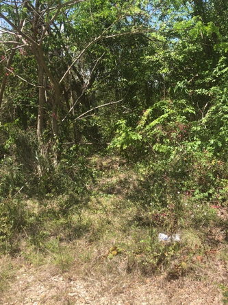 Fifth image of 391 Trelawny Drive in DUNCAN BAY, Trelawny, Jamaica - property is For Sale