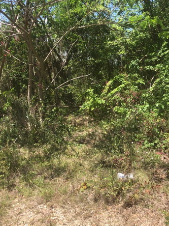 Fifth image of Lot 245 Trelawny Drive in Duncans, Trelawny, Jamaica - property is For Sale