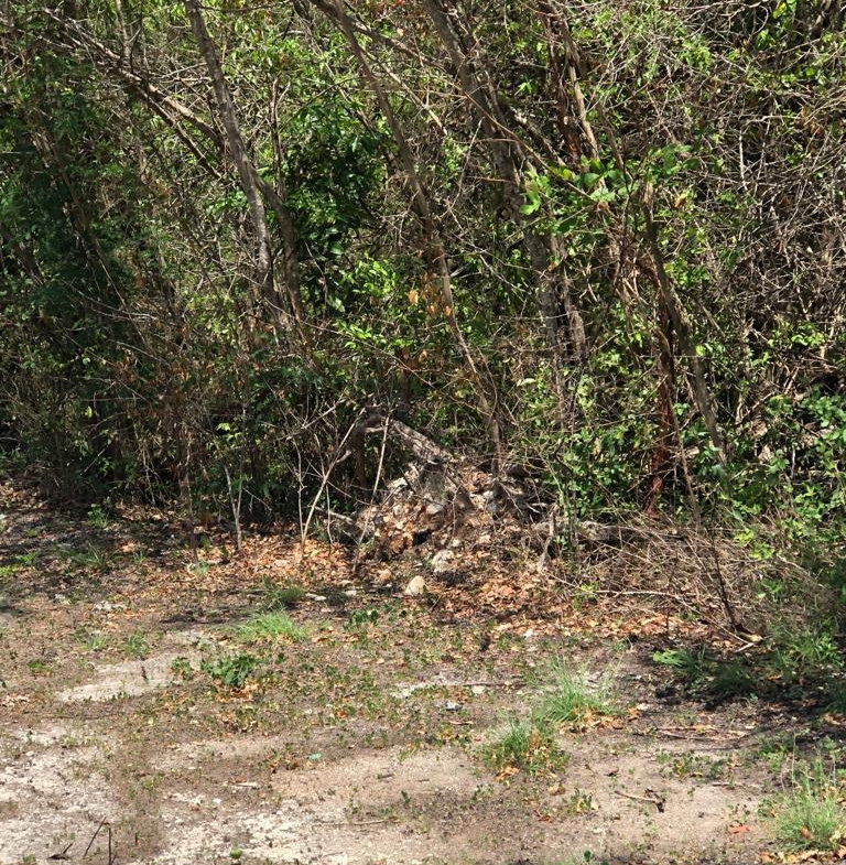 Sixth image of Lot 245 Trelawny Drive in Duncans, Trelawny, Jamaica - property is For Sale