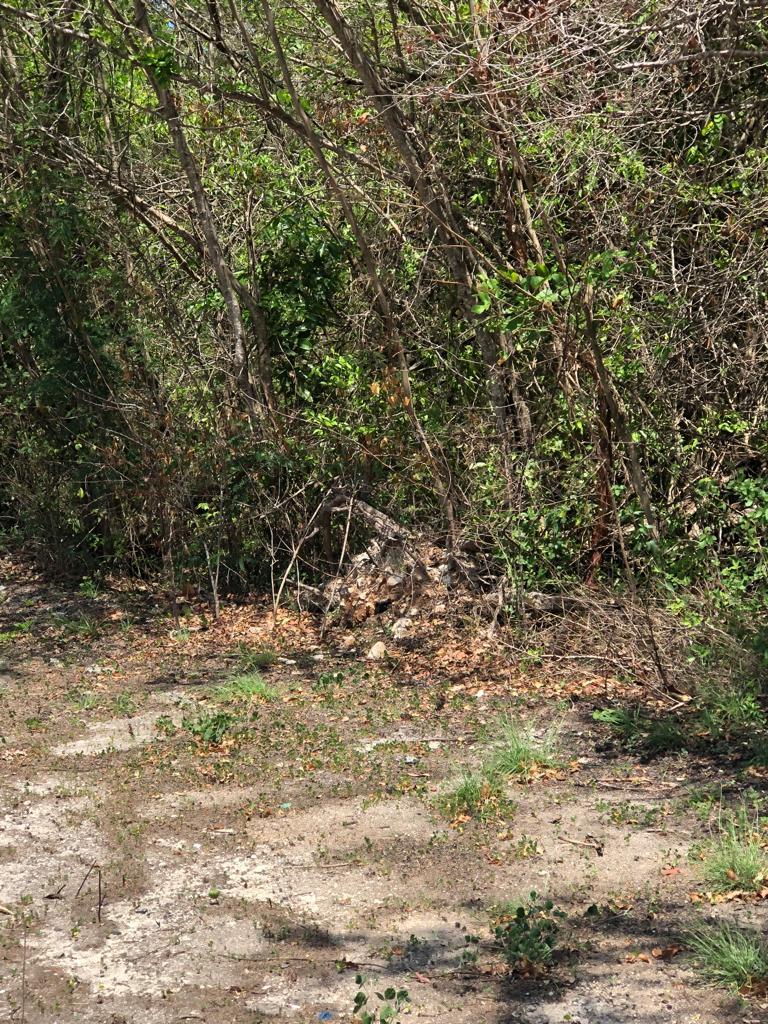 Sixth image of Lot 245 Trelawny Drive in Duncans, Trelawny, Jamaica - property is For Sale