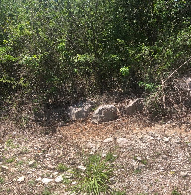 Fifth image of Lot 378 Tobasco Close in Duncans, Trelawny, Jamaica - property is For Sale