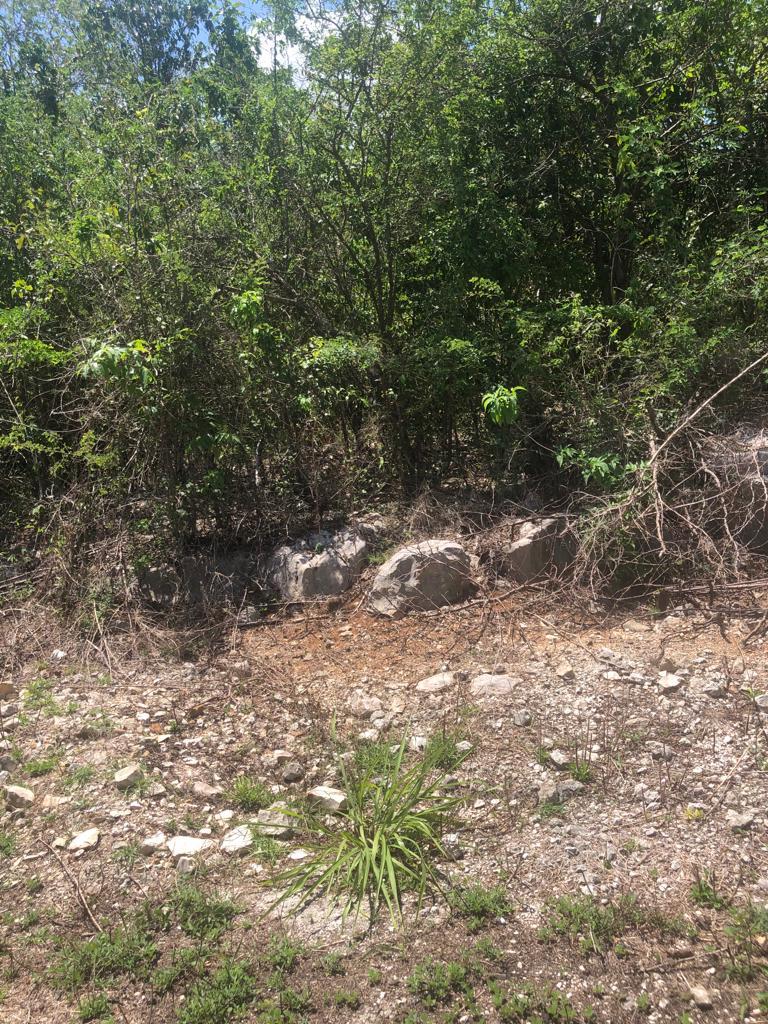 Fifth image of Lot 378 Tobasco Close in Duncans, Trelawny, Jamaica - property is For Sale