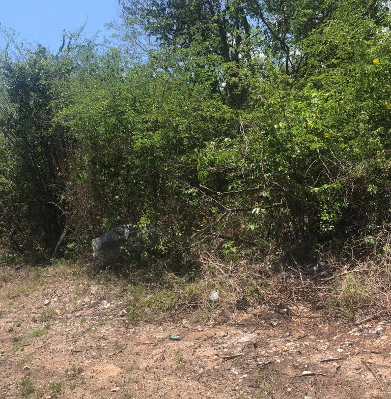 Sixth image of Lot 378 Tobasco Close in Duncans, Trelawny, Jamaica - property is For Sale