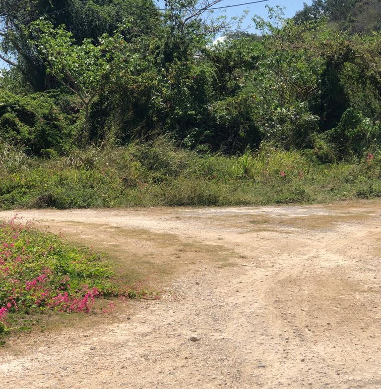 Fifth image of Lot 384 Hillside Crescent in Duncans, Trelawny, Jamaica - property is For Sale