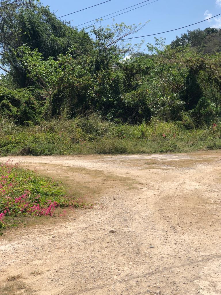Fifth image of Lot 384 Hillside Crescent in Duncans, Trelawny, Jamaica - property is For Sale