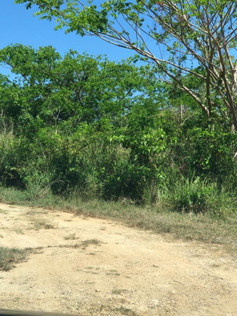 Fifth image of Lot 481 Duncan Rise in Duncans, Trelawny, Jamaica - property is For Sale