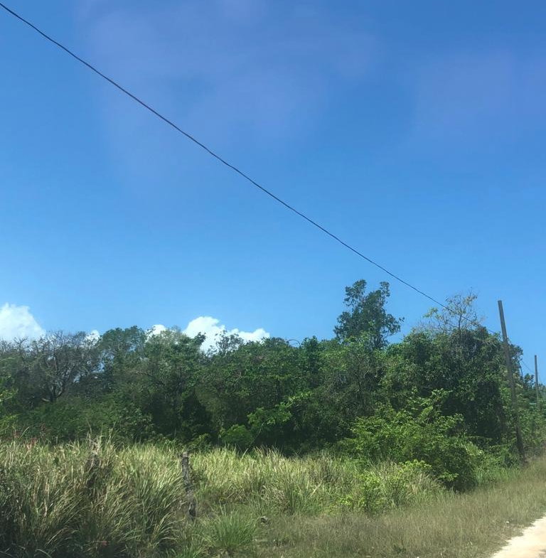 Fourth image of Lot 485 Duncan Rise in Duncans, Trelawny, Jamaica - property is For Sale