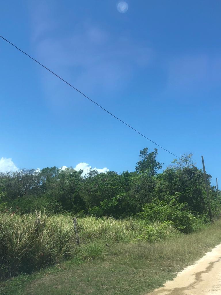 Fourth image of Lot 485 Duncan Rise in Duncans, Trelawny, Jamaica - property is For Sale