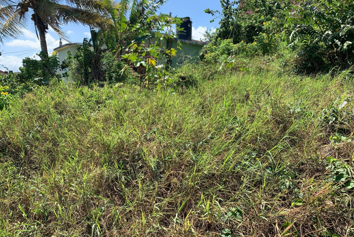 First image of Freedom Drive in DUNCANS HILL, Trelawny, Jamaica - property is For Sale
