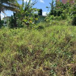First image of Freedom Drive in DUNCANS HILL, Trelawny, Jamaica - property is For Sale