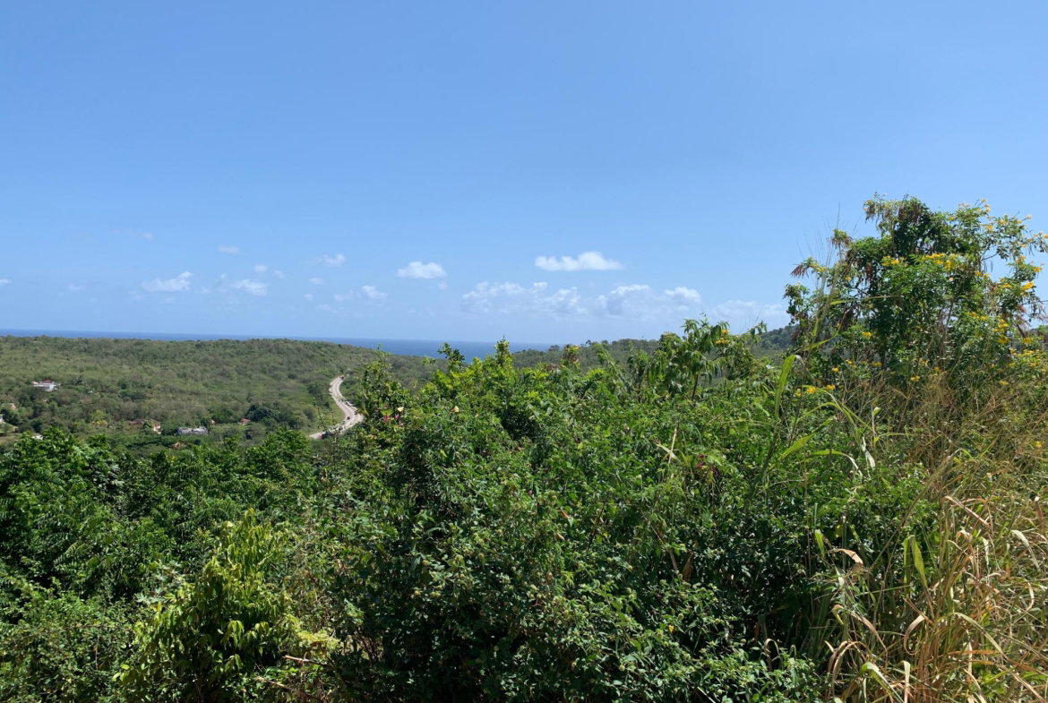 Fifth image of Freedom Drive in DUNCANS HILL, Trelawny, Jamaica - property is For Sale