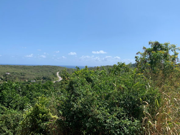 Fifth image of Freedom Drive in DUNCANS HILL, Trelawny, Jamaica - property is For Sale