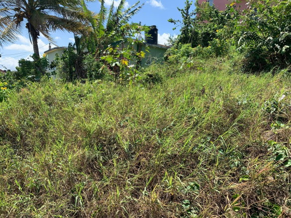 First image of Freedom Drive in DUNCANS HILL, Trelawny, Jamaica - property is For Sale