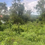 First image of Fyffes Pen, Part of Cambr in Brompton, St. Elizabeth, Jamaica - property is For Sale
