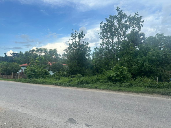 Third image of Fyffes Pen, Part of Cambr in Brompton, St. Elizabeth, Jamaica - property is For Sale