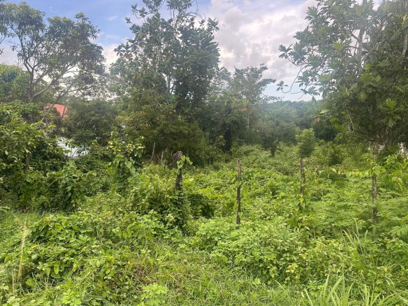 First image of Fyffes Pen, Part of Cambr in Brompton, St. Elizabeth, Jamaica - property is For Sale