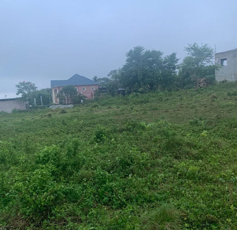 Second image of Part of Leeds in Leeds, St. Elizabeth, Jamaica - property is For Sale