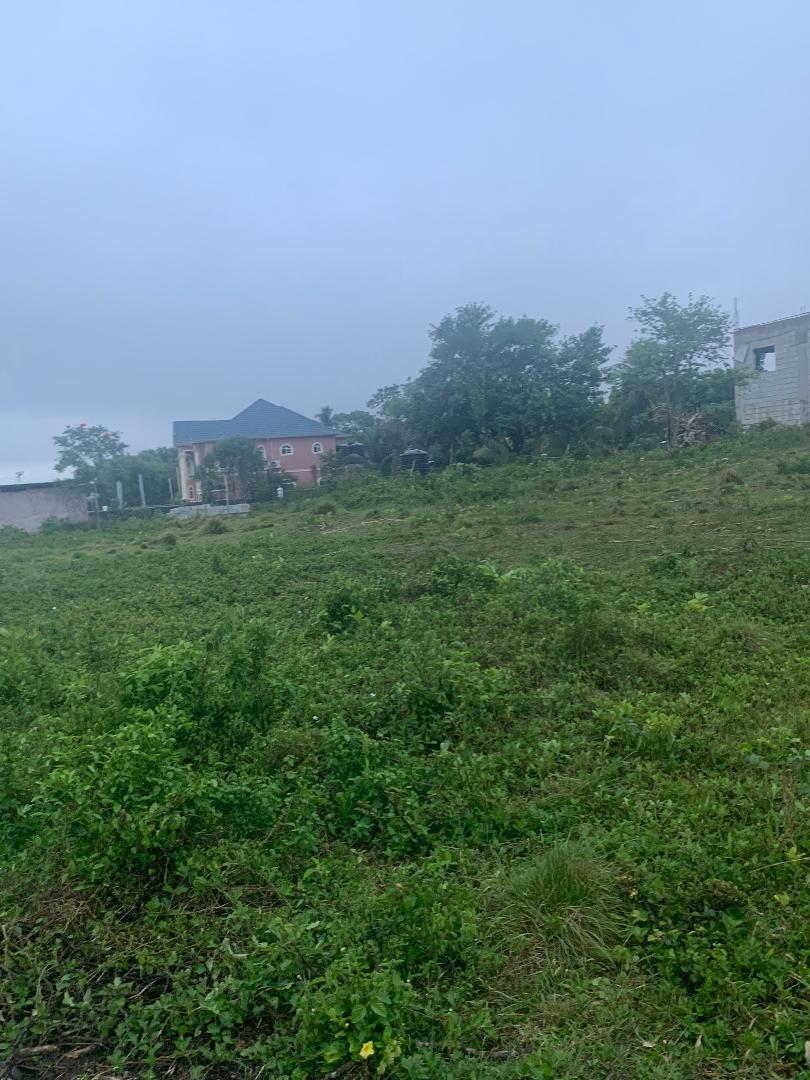 Second image of Part of Leeds in Leeds, St. Elizabeth, Jamaica - property is For Sale