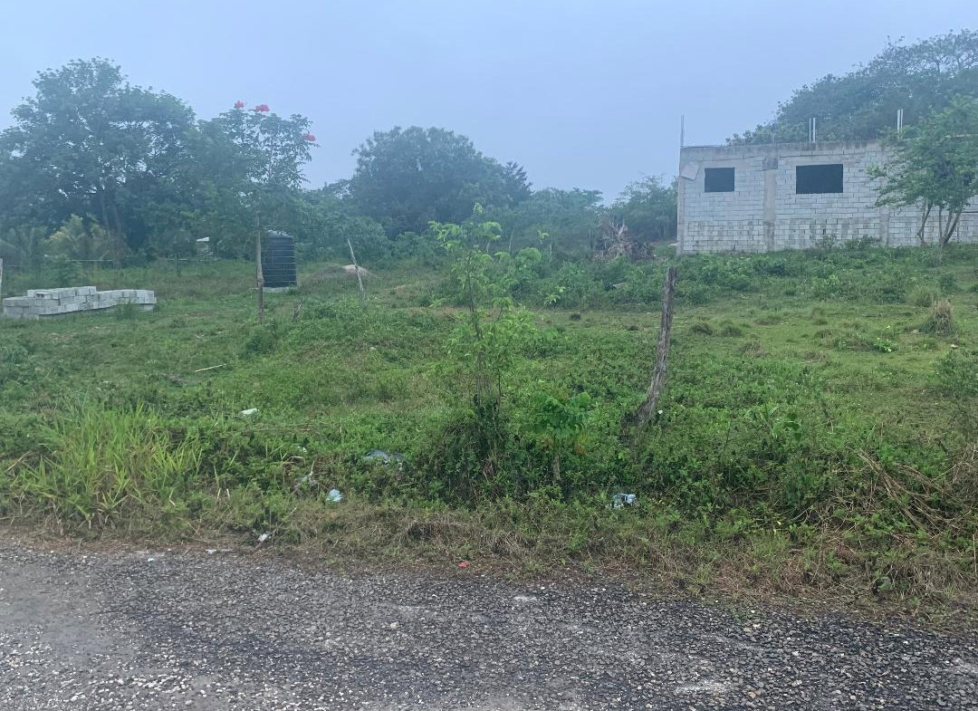 Fifth image of Part of Leeds in Leeds, St. Elizabeth, Jamaica - property is For Sale