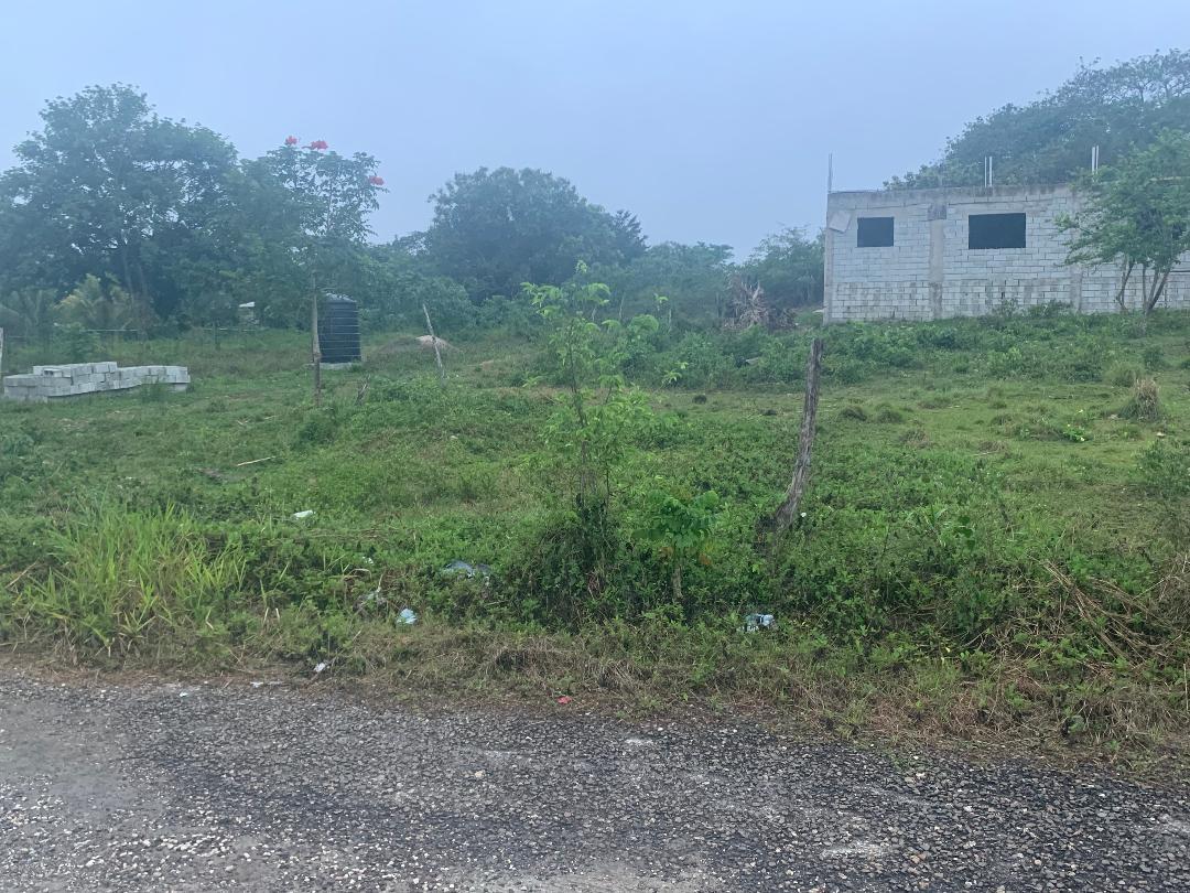 Fifth image of Part of Leeds in Leeds, St. Elizabeth, Jamaica - property is For Sale