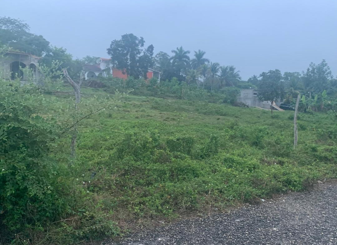 Sixth image of Part of Leeds in Leeds, St. Elizabeth, Jamaica - property is For Sale