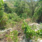 First image of 1336 White Hall,negril Westmor in Negril, Westmoreland, Jamaica - property is For Sale