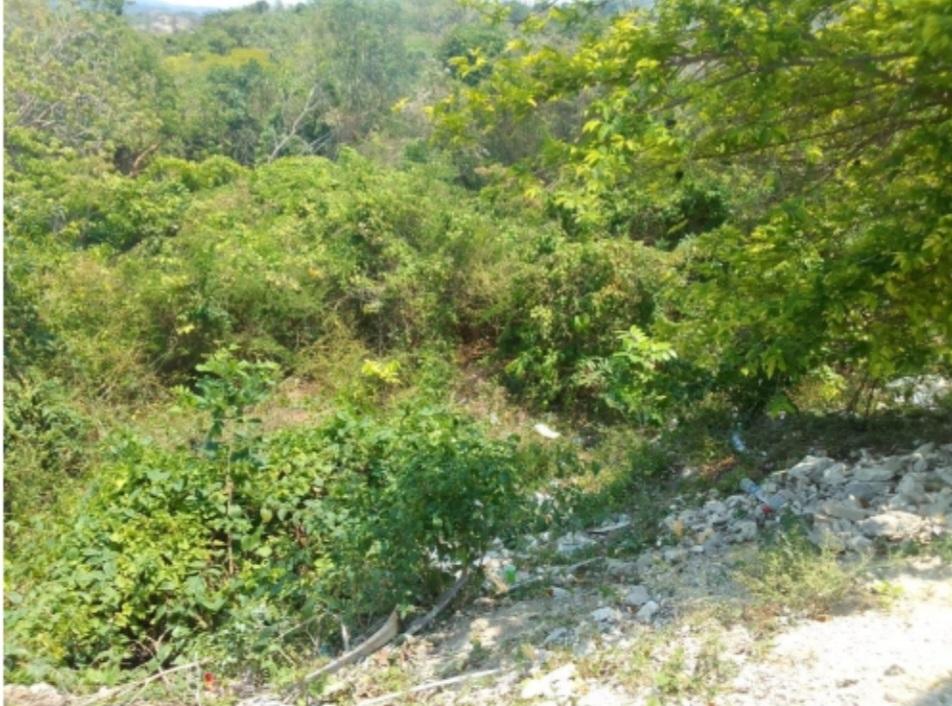 Fifth image of 1336 White Hall,negril Westmor in Negril, Westmoreland, Jamaica - property is For Sale