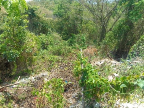 First image of 1336 White Hall,negril Westmor in Negril, Westmoreland, Jamaica - property is For Sale