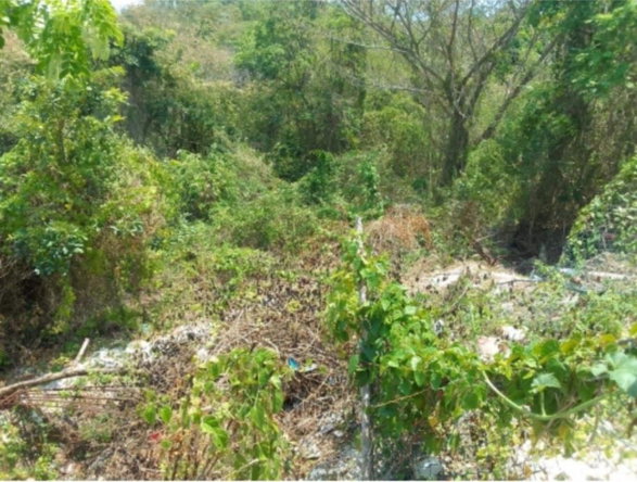 First image of 1336 White Hall,negril Westmor in Negril, Westmoreland, Jamaica - property is For Sale
