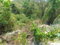 First image of 1336 White Hall,negril Westmor in Negril, Westmoreland, Jamaica - property is For Sale