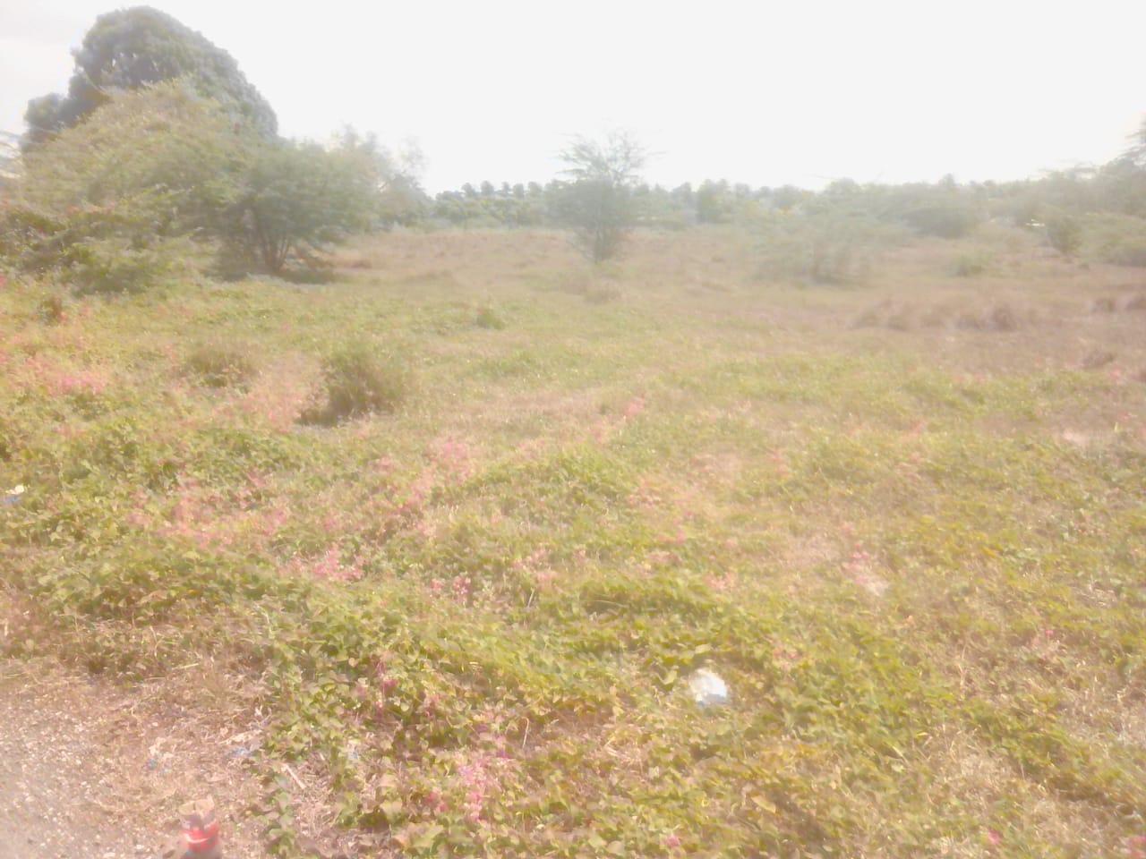 Vacant-Residential-Lot-for-Sale-in-Rhymesbury-Clarendon-1.25-Acres Second image of 110 Rhymesbury in May Pen, Clarendon, Jamaica - property is For Sale
