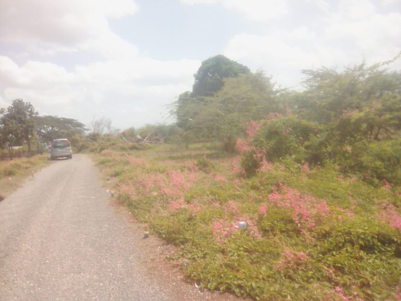 Vacant-Residential-Lot-for-Sale-in-Rhymesbury-Clarendon-1.25-Acres Third image of 110 Rhymesbury in May Pen, Clarendon, Jamaica - property is For Sale