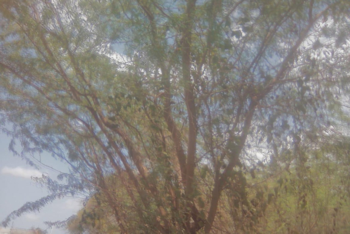 Fourth image of 110 Rhymesbury in May Pen, Clarendon, Jamaica - property is For Sale