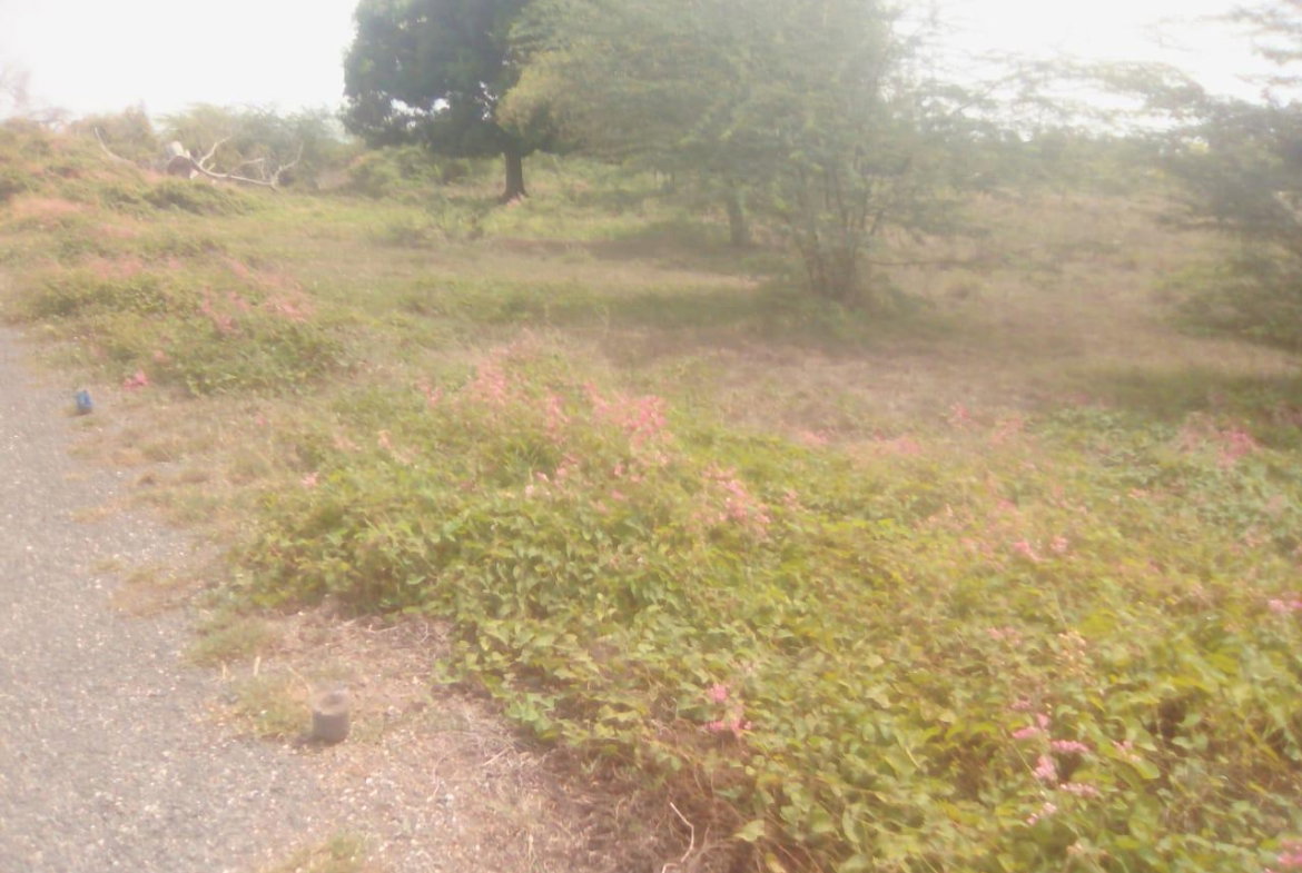 Fifth image of 110 Rhymesbury in May Pen, Clarendon, Jamaica - property is For Sale